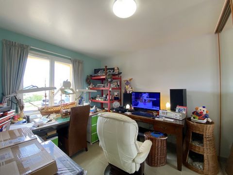 photo no. 13
