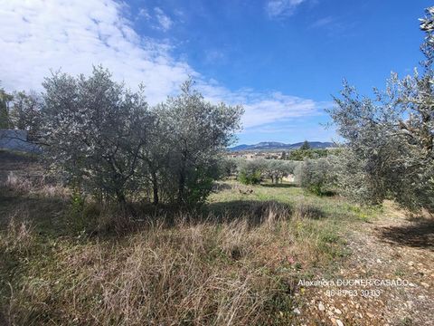 En exclusivité, sur la charmante commune d'Oraison (04700), appréciée pour son bon vivre et ses nombreuses commodités, venez découvrir ce beau terrain à bâtir de près de 1762 m2. Le terrain en légère pente, est doté de plusieurs oliviers centenaires....