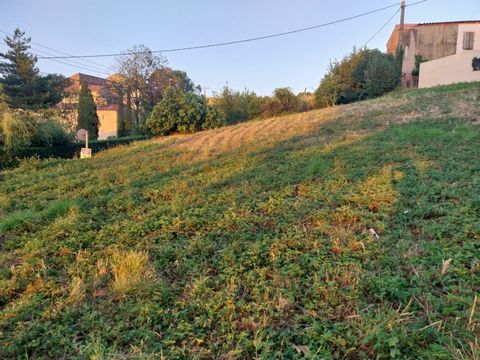 photo no. 2