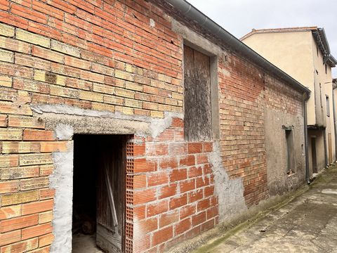 photo no. 5