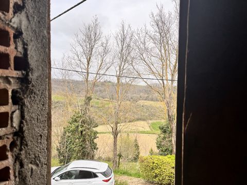 photo no. 9