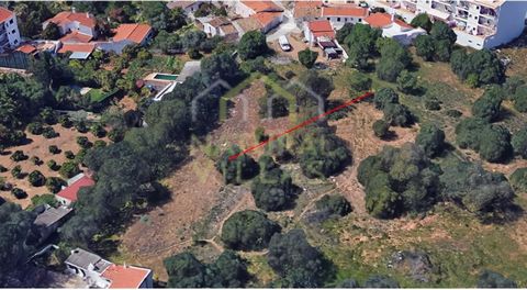 Terreno en una ubicación privilegiada, con potencial para urbanización, junto a comercio, servicios y a pocos minutos de las playas. Superficie total del terreno de 1.800m², situado en el corazón de Almancil, municipio de Loulé. Es un terreno rústico...