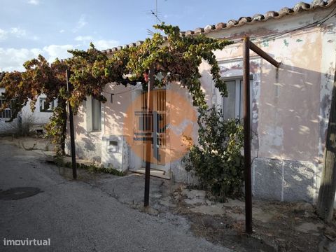 Villa de 3 chambres avec terrain de 320 m2 - avec annexe de 49 m2 - à Corte Nova - Odeleite - Castro Marim. Maison avec une cour arrière de 205 m2. Il a un trou avec une pompe en état de marche. Il dispose également d’un puits et de l’eau courante. A...