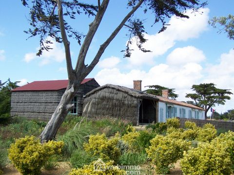 photo no. 2