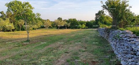 Baugrundstück in der Nähe von Filipan zu verkaufen. Baugrundstück von 900 m2. Eine ruhige Lage, geeignet für den Bau eines Ferienhauses. Der Standort ist weit entfernt von der Kirche St. Filipa i Jakov 300 m Luftlinie. Info: ... ...