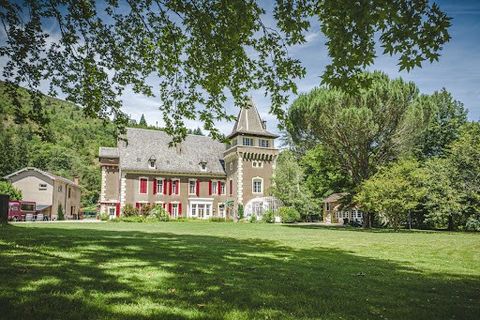 Situé au coeur d'un petit village du nord-ouest de l'Aveyron, à 40km de Rodez (aéroport), à deux pas de la vallée du Lot et du village classé de Conques nous vous proposons ce magnifique château du 13ème siècle avec sa tour circulaire surmontée de cr...