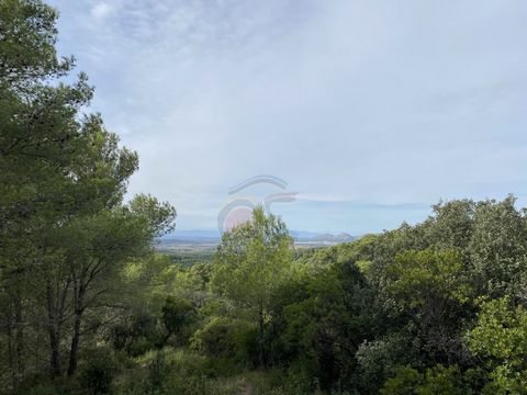 Dans un beau quartier de Begur, dans l'urbanisation appelée Es Valls, et à une courte distance du centre de la ville de Begur et sur le chemin de la célèbre plage de Sa Riera, nous avons ce grand terrain rustique à vendre, de près de 67 000 m2. Cette...