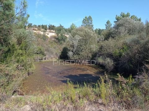 Herdade com 44 hectares, composta maioritariamente com montado de sobro novo, alguns pinheiros mansos e outras culturas arvenses. Não se encontra vedada, tem uma charca com nascente e com capacidade de aumentar o seu volume/capacidade. Marque já a su...