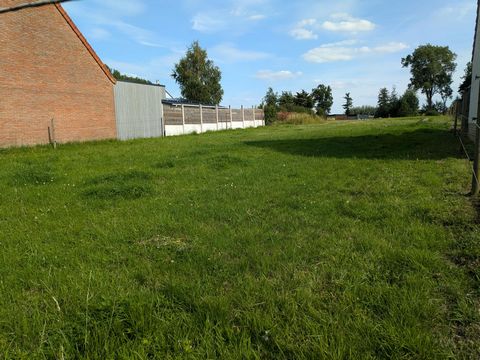 photo no. 2