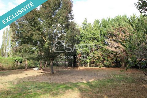 I am pleased to present to you this beautiful flat, wooded land located in the town of Montrabé, in a residential area, in the immediate vicinity of the St Gabriel golf course. Resulting from a plot division, the land to be developed is 1150m² includ...