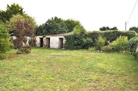 photo no. 14