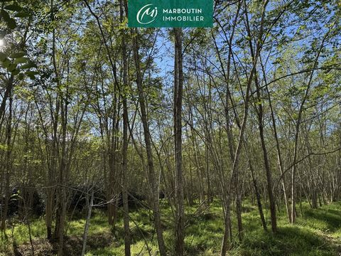 Propriété forestière d'environ 60Ha composée de peupliers (21 Ha), Taillis de chênes (23 Ha), acacias (4.5Ha), pins laricios (7 Ha) habitation à réhabiliter, une dépendance et une palombière. Nous contacter pour plus de détail