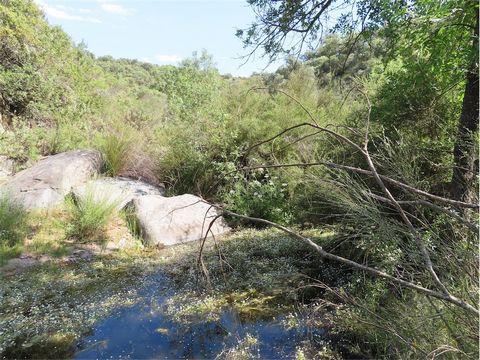 Geweldig land met 57 hectare verbonden met een beek Verbazingwekkend en zeer natuurlijk landschap Zeer natuurlijke omgeving en rustige locatie Stenen huis met rond met ongeveer 70m2 om te herstellen en verborgen in woonruimte (Mogelijk om uit te brei...