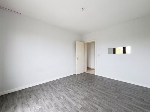 photo no. 6