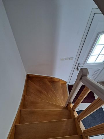 photo no. 6