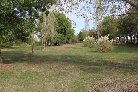 photo no. 8