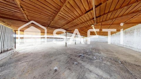 Plot of one hectare comprising a set of warehouses for agricultural storage and/or livestock accommodation (mainly cattle) with feed aisles, silos for the storage of fodder and cereals, milking parlour with pit and large capacity slurry pool. High el...
