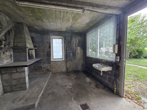 photo no. 13