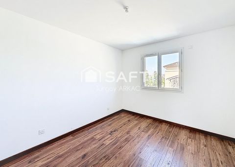 photo no. 13