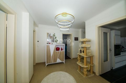 photo no. 7