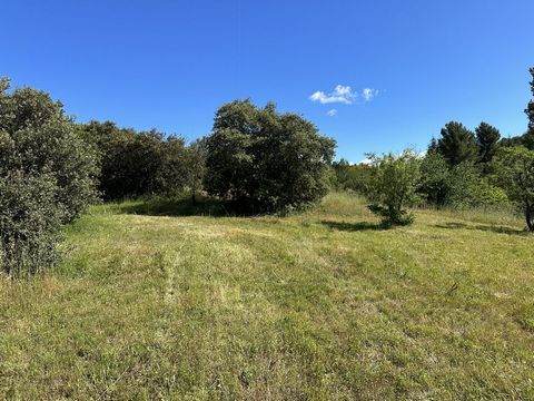 photo no. 5