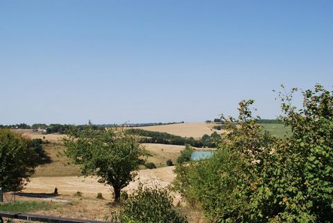 photo no. 3