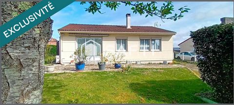 photo no. 12