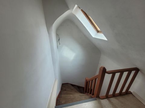 photo no. 9