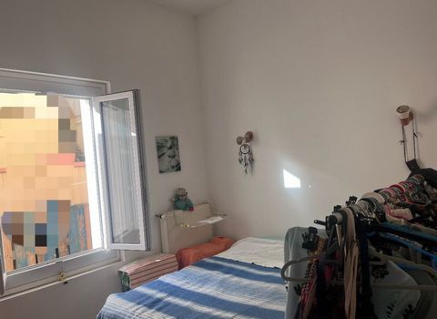 photo no. 11