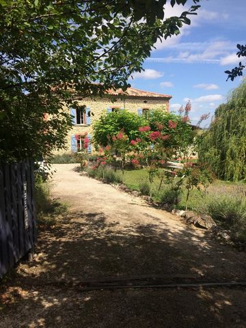 photo no. 19