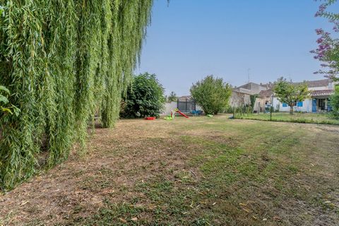 photo no. 15