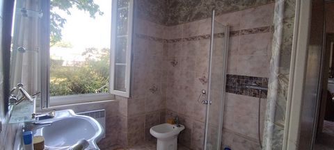 photo no. 11