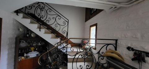 photo no. 1