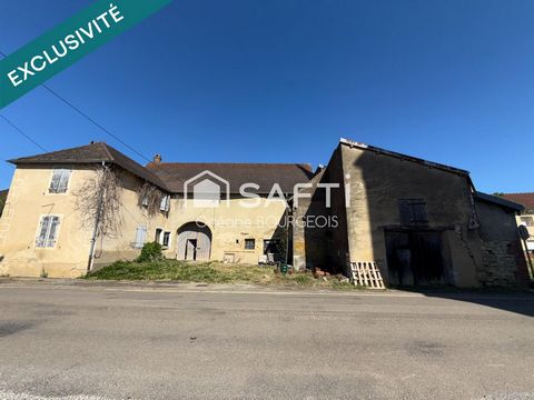 Idéal pour investisseur