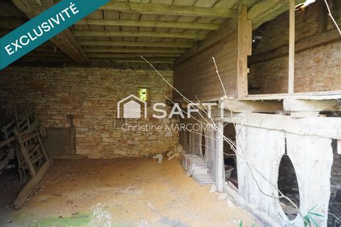 photo no. 15
