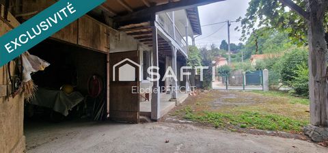 photo no. 15