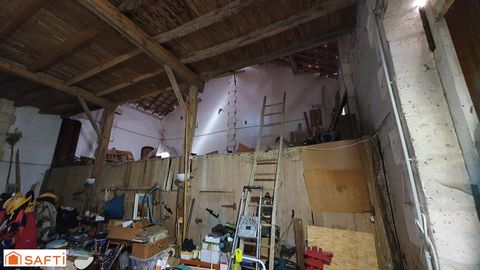 photo no. 14