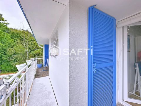 photo no. 15