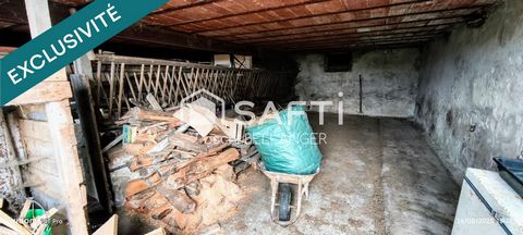 photo no. 12