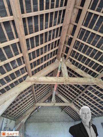 photo no. 4