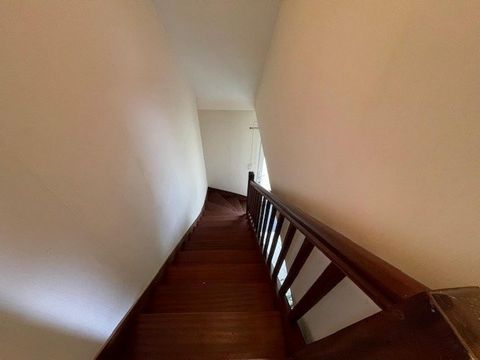photo no. 9
