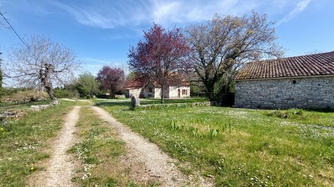 photo no. 4