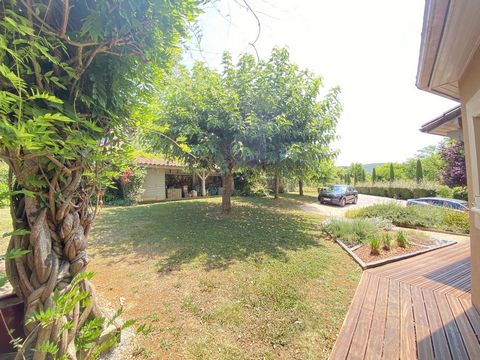 photo no. 5