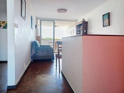 photo no. 6
