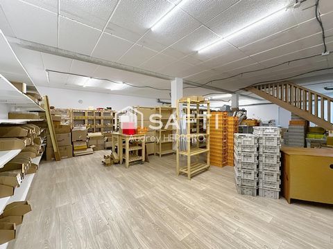 photo no. 15