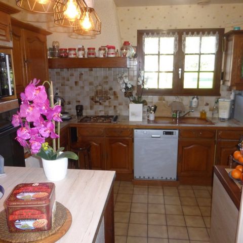 photo no. 3