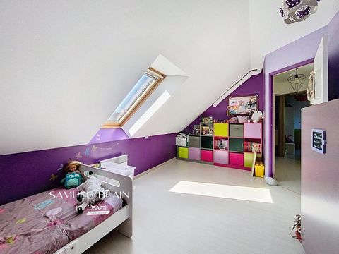 photo no. 11