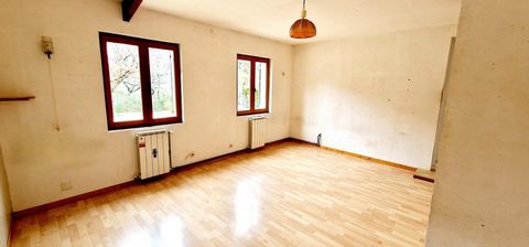 photo no. 8
