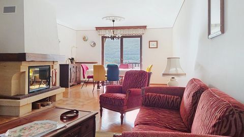 photo no. 1
