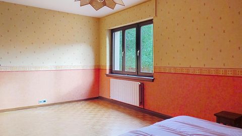 photo no. 9